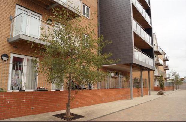 Vetrelax Chelmsford Apartment Екстериор снимка